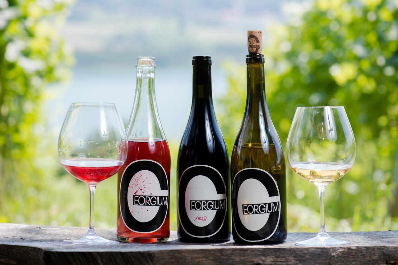 Weingut Georgium Sankt Georgen am Längsee Exterior foto